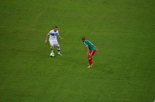 国乒奖金出炉，王艺迪喜提28万成大赢家！陈幸同仅获3万，奖金分配引热议